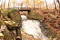 Buttermilk Falls in Cleveland Metroparks