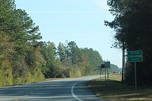 Calhoun County FL sign on SR20