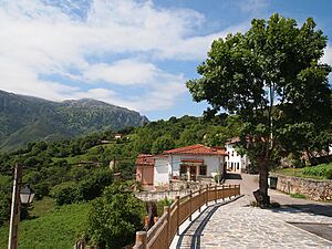 Prado, Cabrales