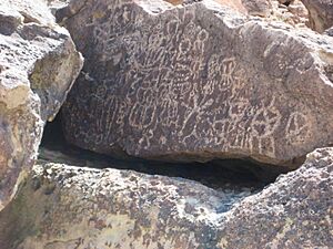 Chalfant petroglyphs