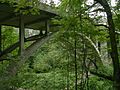 Cowen Park Bridge 05 - colormapped