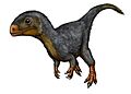 Daemonosaurus chauliodus