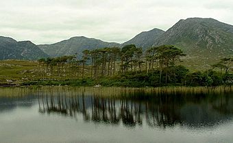 Derryclare Lough - geograph.org.uk - 540873