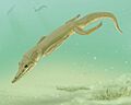 Diandongosuchus fuyuanensis
