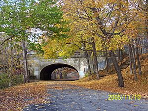 Edgewood Park Chapel Street Bridge