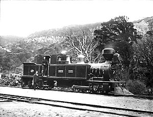 Engine at the Summit, Rimutaka Incline 18287