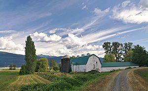 Farmhouse and barn in Abbotsford, BC