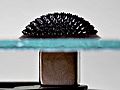 Ferrofluid Magnet under glass edit