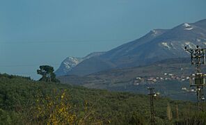 Gürle Dağı - panoramio - Allen Turner