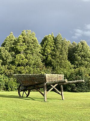 Giant Wheelbarrow MRD 02