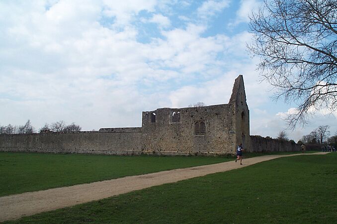 Godstow Nunnery ruin 20050326