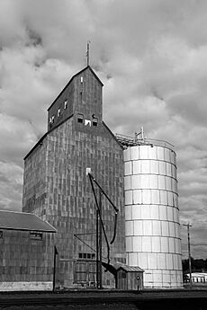 Grain Elevator-5