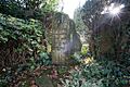 Grave-of-August-Sander---Melaten---Cologne---R0010655 - Michael Foerster RSMP
