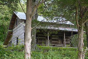 Hair Conrad cabin 2 Bradley County Tennessee