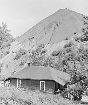 Porter Mine Company Housing for Black Miner in Adamsville, 1946