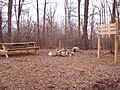 Hoosier hill