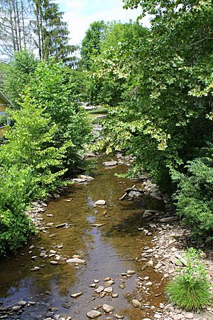 Horton Creek looking upstream