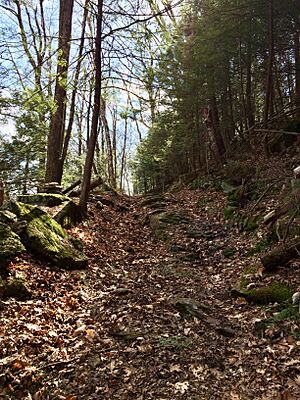 Iron Trail In Housatonic SF to Canaan Mtn Rd IMG 0182.2014-05-03 140404