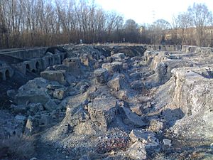 Joliet ironworks ruins