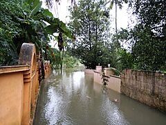 Kerala Floods 2018 at Angamaly