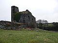 Kiltartan or Ballinamantain Castle geograph 2329536