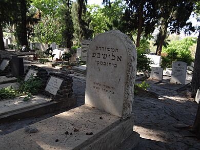 Kinnert Cemetery - Elisheva grave