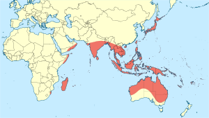 Macrodiplax cora distribution map.svg