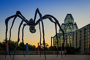 Maman Spider & Louise Bourgeois