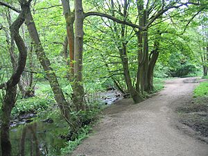 Meanwood Valley Trail and Meanwood Beck 01