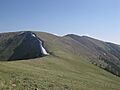 Montana CDT