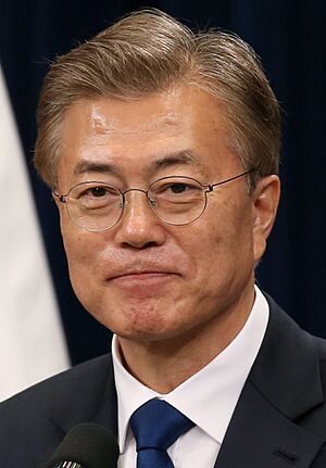 Moon Jae-in May 2017.jpg