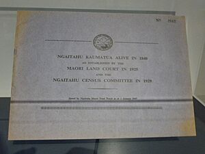 Ngāi Tahu Kaumatua alive in the 1848 The Blue Book 1929