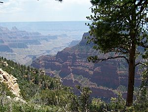 North Rim of Grand Canyon, Arizona 2005