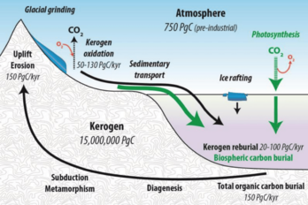 Organic carbon cycle including the flow of kerogen