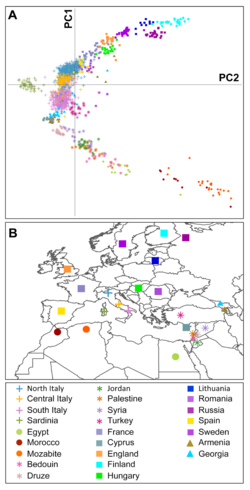 PCA of Italians and European and Mediterranean populations