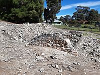 Peelhurst ruins, Golden Bay, September 2020 03.jpg