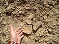 Pottery fragments, illegal excavations at the ancient city of Kish, Tell al-Uhaymir, Iraq