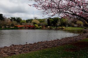 Q1037 Japanese Gardens Toowoomba (33164275040)