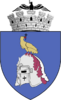 Coat of arms of Câmpulung