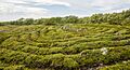 RUS-2016-Bolshoi Zayatsky Island-Stone labyrinth 01