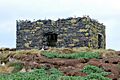 Remins of Peel tower, Staple Island - geograph.org.uk - 1371421