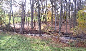 Rockefeller State Park Preserve