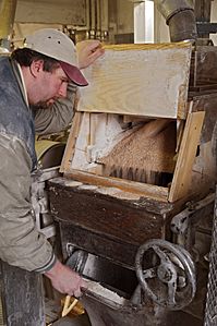 Roll Stand in Roller Mill with miller