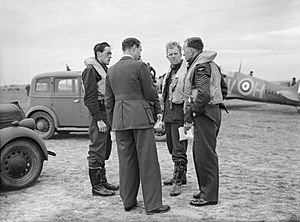 Royal Air Force Fighter Command, 1939-1945. CH1371