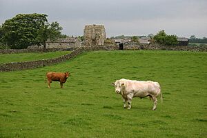 Scargill Castle Farm - geograph.org.uk - 75574