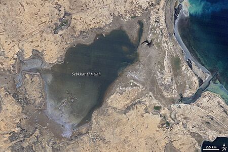 Sebkha El Melah - 1987