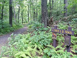 Sessions Woods Wildlife Management Tree ID Trail