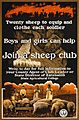 Sheep club2