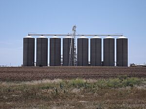 Silos at Purrawunda