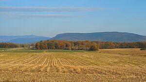 SnakeMT Abraham Eastward VT17AddisonVT 20151011 (41412054952)